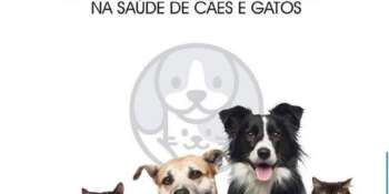 Complexo B na saúde de Cães e gatos